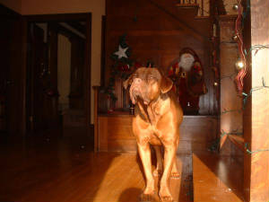 dscf0040.jpg